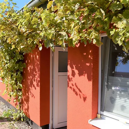 Vermietung Brunner Appart hôtel 3*