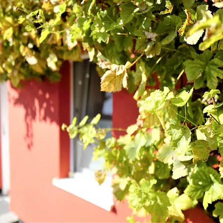 Vermietung Brunner Appart hôtel Rostock