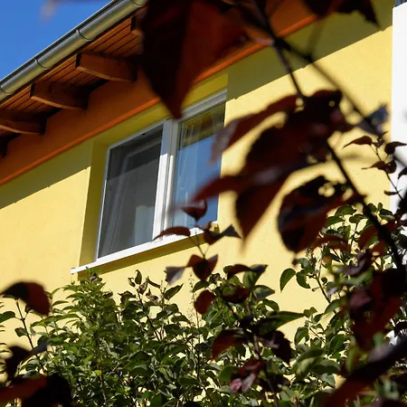 Vermietung Brunner 3* Rostock